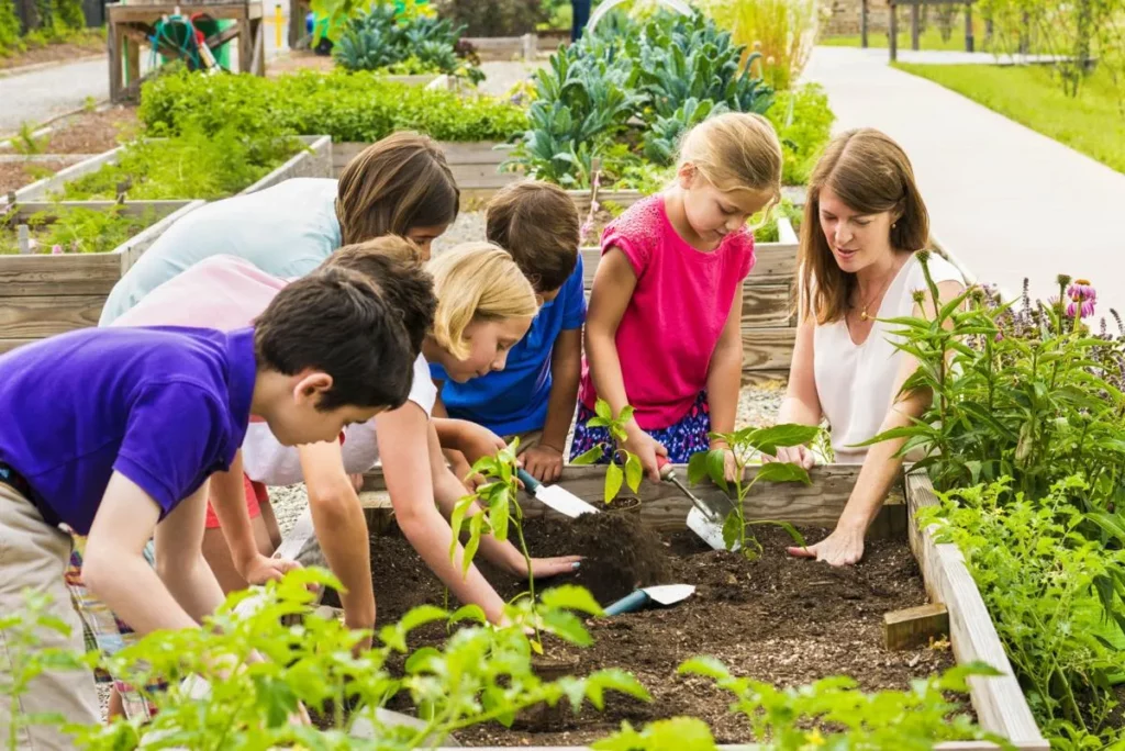 Benefits Of Backyard Gardening