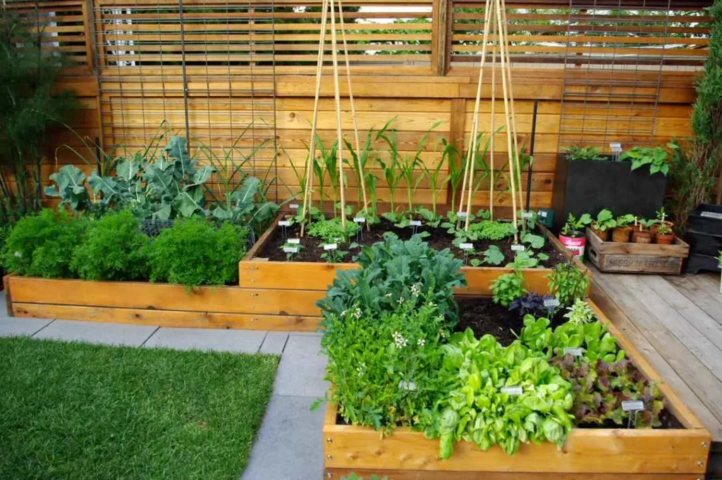 Planning Your Vegetable Garden