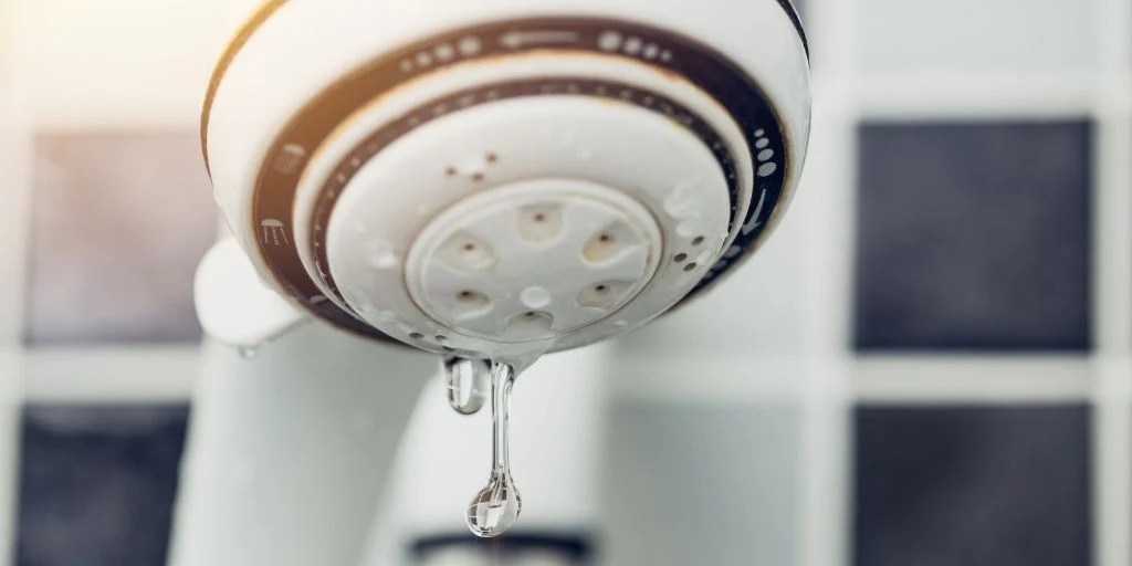 Understanding the Causes of a Leaking Shower